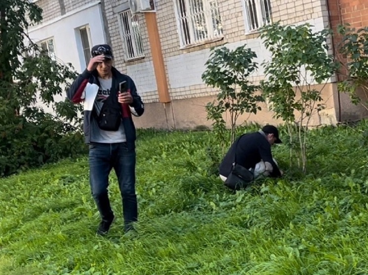 Земледельцы или "дельцы" что ищут в ярославских газонах
