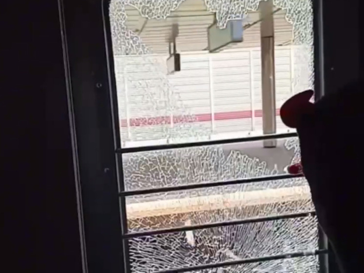 Юный вандал разгромил подмосковную электричку ради видео