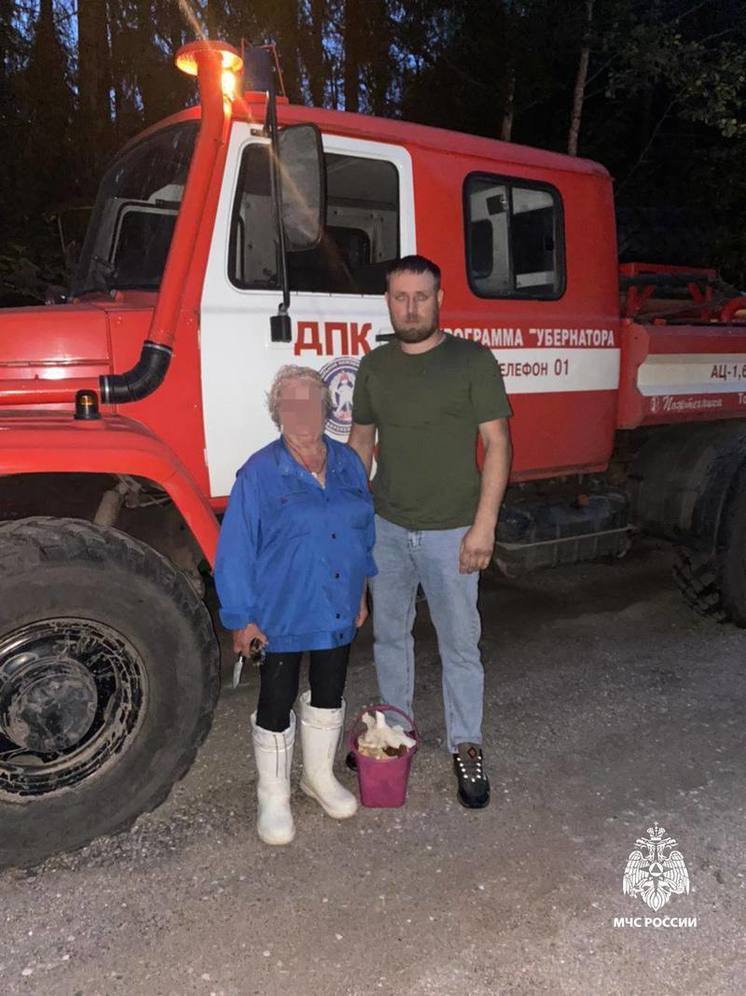 Очередной грибник заблудился в лесу в Тверской области
