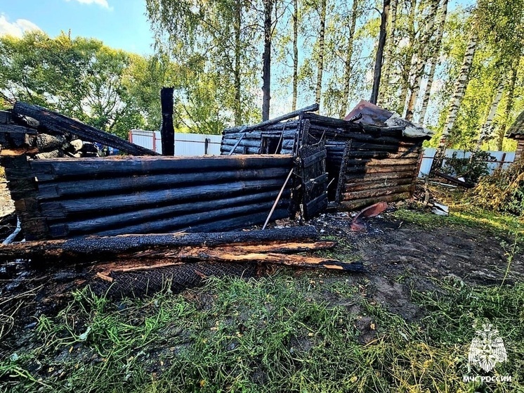 Подробности пожара в Пречистом Гагаринского района