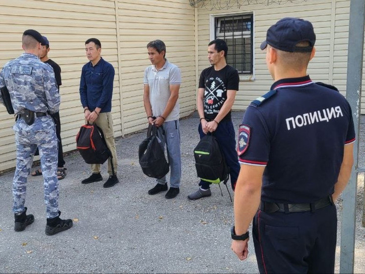 Воры и наркоторговцы: Шестерых мигрантов депортировали из России