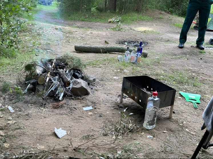 В Ломоносовском районе выявили пять нарушений противопожарного режима