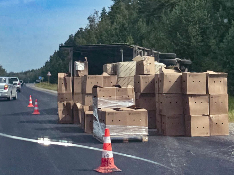 Фургон с коробками опрокинулся на трассе под Рязанью утром 17 августа