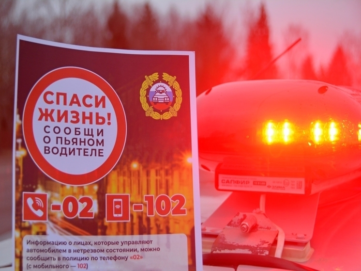 В Рославльском и Смоленском районах два пьяных водителя попадут под суд