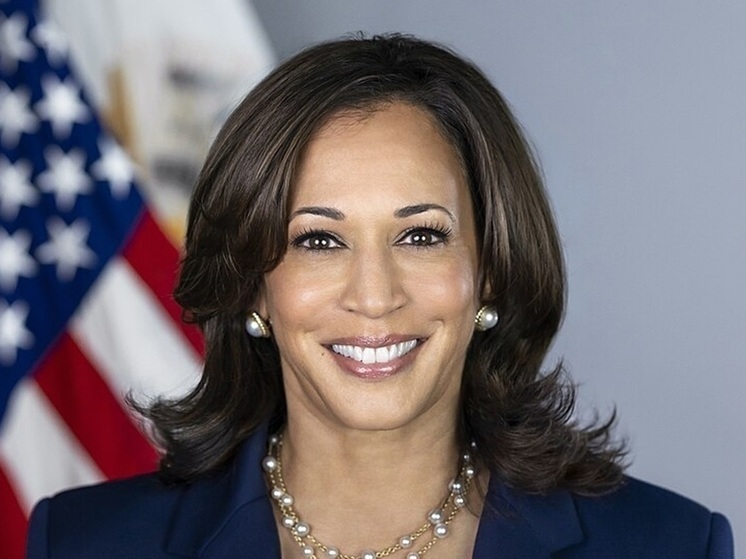 US Vice President Harris knows how to serve ice cream at McDonald's