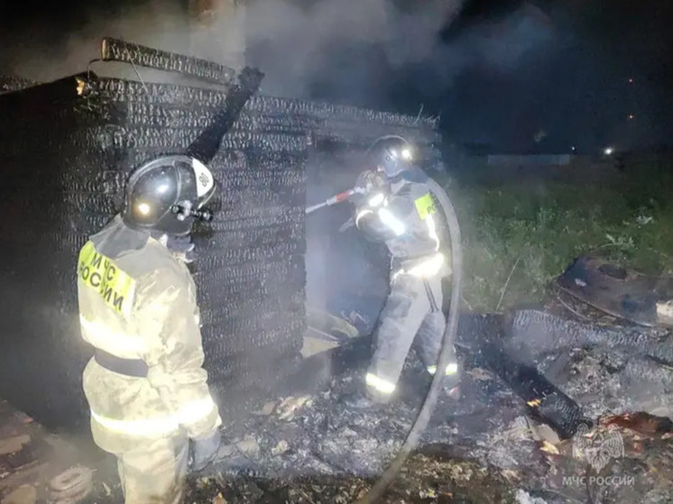 Три человека погибли в ночном пожаре в Козульке