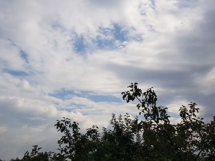 Июльское тепло прогнозирует синоптик сегодня в Подмосковье