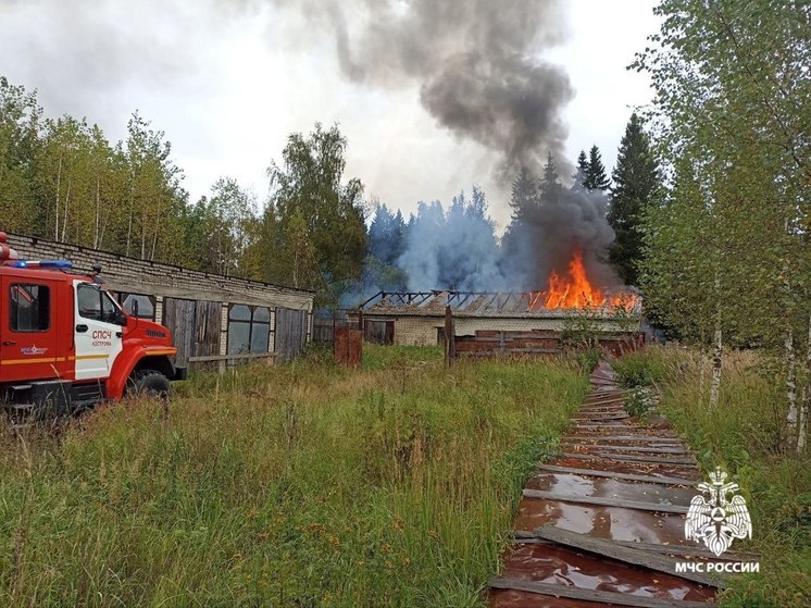 В селе Никольском под Костромой сгорела очередная заброшка