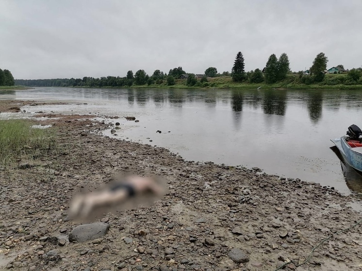 Водолазы нашли тело утонувшего в Онеге человека