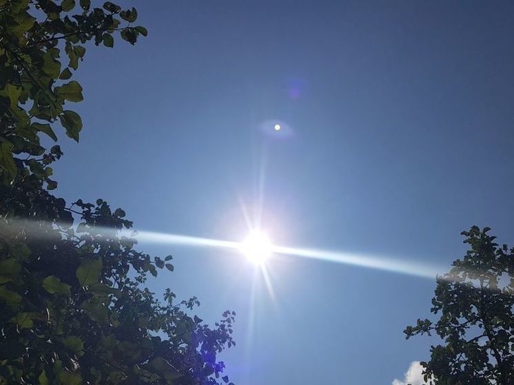 30-градусная жара может вернуться в Подмосковье в понедельник