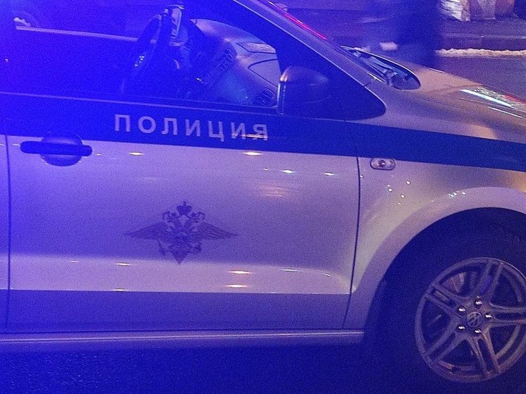 Полиция задержала жителя Кудрово за противоправный аргумент в споре