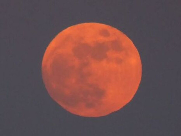 Ночью с 19 августа на 20-ое можно будет увидеть «Осетровую Луну»