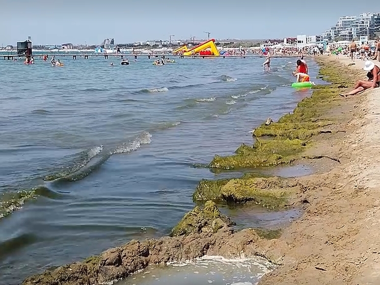 Власти Анапы ответили на жалобы туристов на "позеленевшее море"