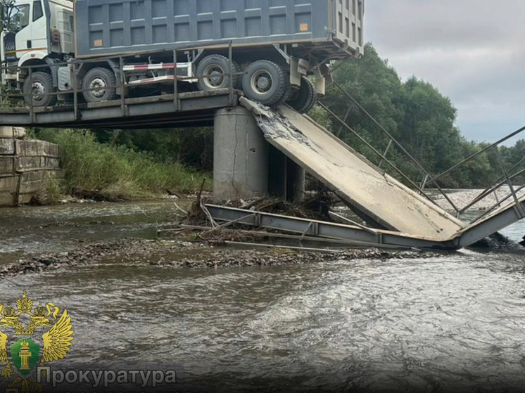 Причины обрушения моста в селе Новороссия выясняет прокуратура Приморья