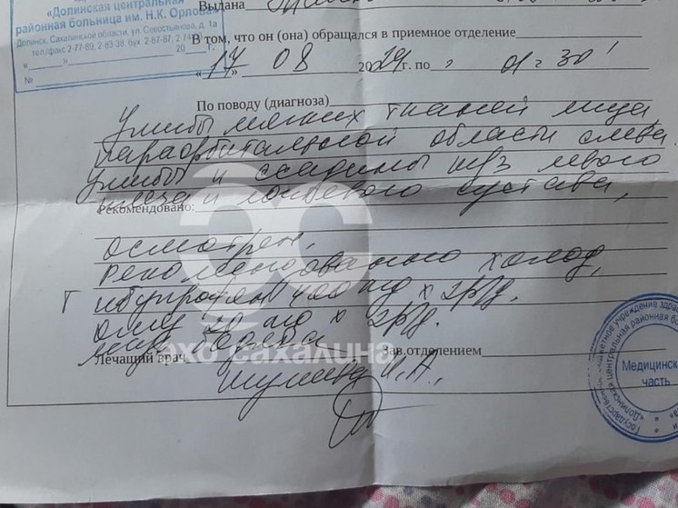 На Сахалине «речная охрана» избила отдыхающих дубинками