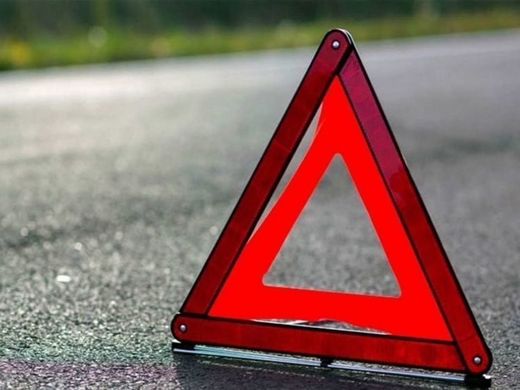 Во Владимирской области погиб мопедист