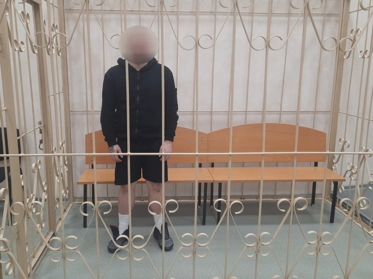 Юный вельчанин арестован по подозрению в убийстве