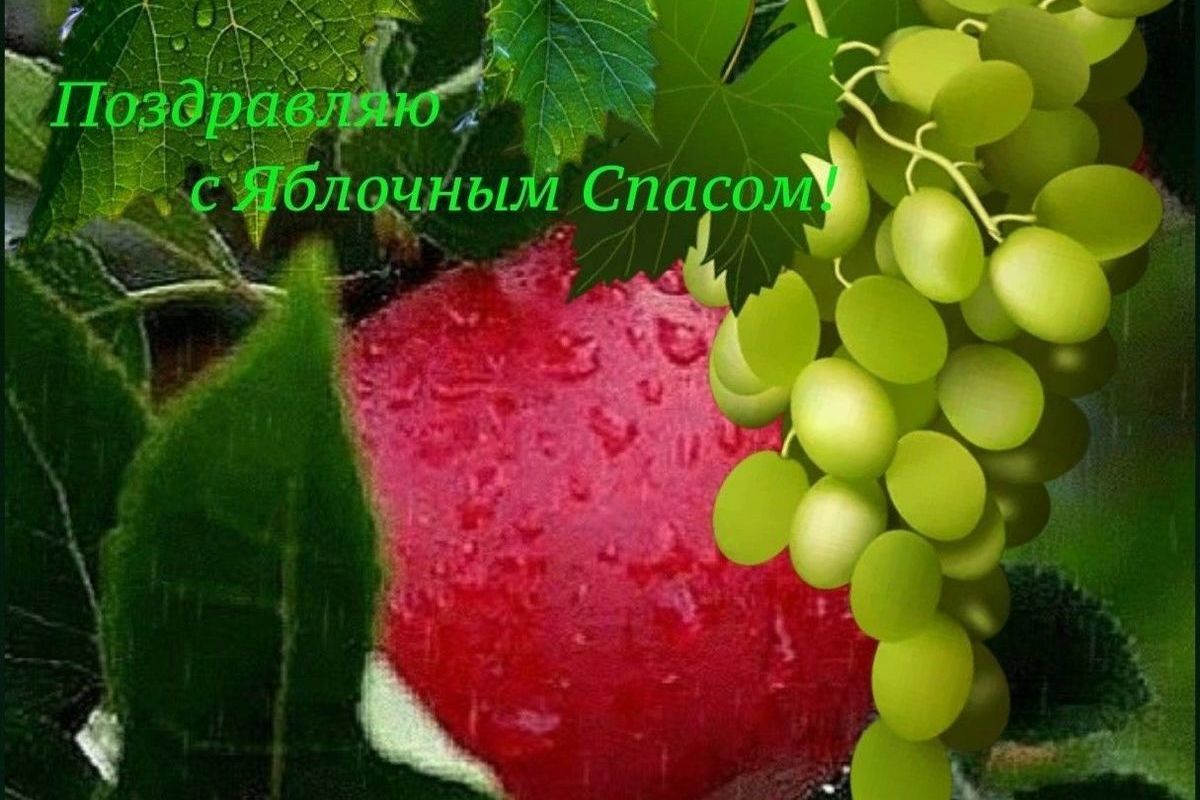 Яблочный Спас2024 яркие открытки и поздравления с православным
