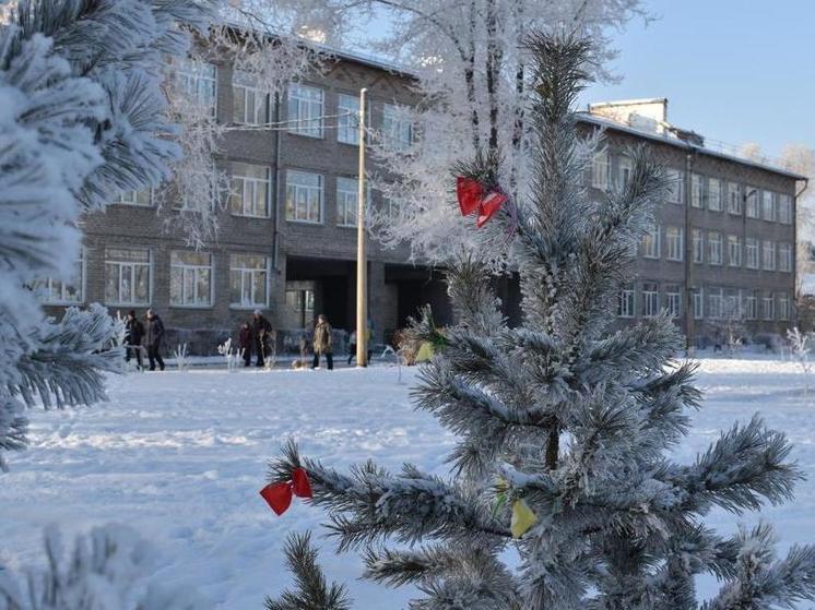 Готовь сани летом... или осенью: в Абакане начнут принимать заявки на елочные базары