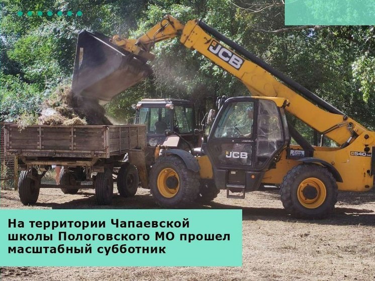 В селе Чапаевка на Запорожье провели большой субботник на территории школы
