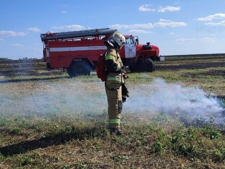 В Орловской области вспыхнула сухая трава на площади в 4,5 гектара