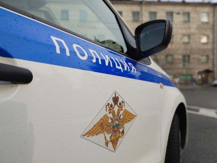 В Комарово микроавтобус сбил школьницу на обочине дороги