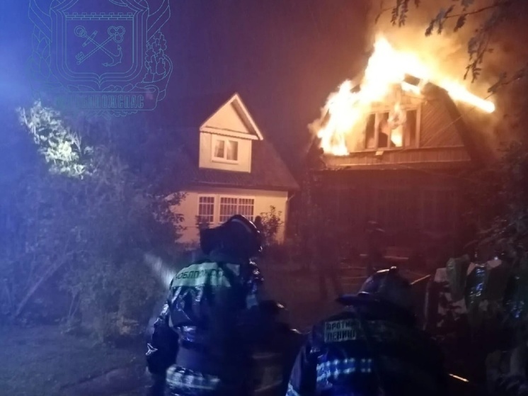 В Мшинской пожар охватил пять соседних участков 18 августа