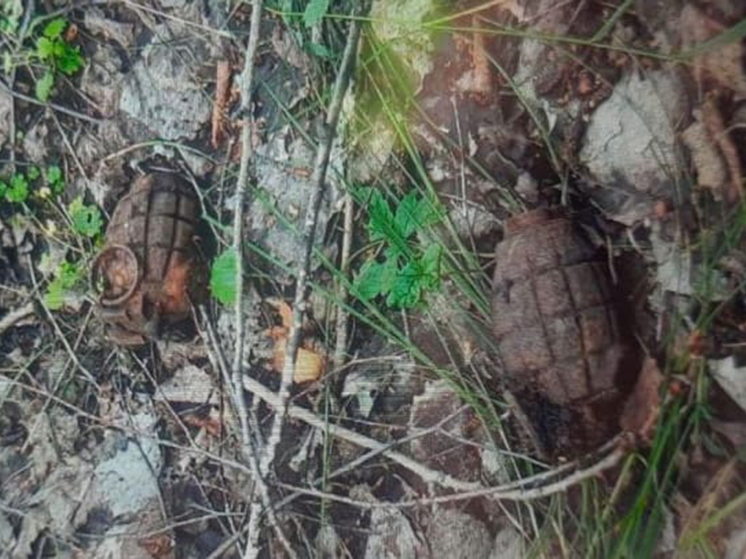 В Ишимском районе Тюменской области обнаружены и уничтожены гранаты времен гражданской войны
