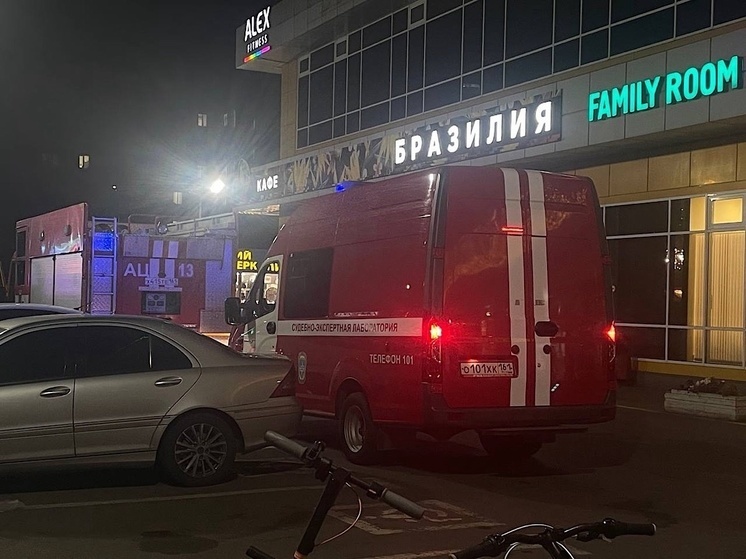 Серию пожаров в торговых-центрах Ростова устроила 33-летняя женщина