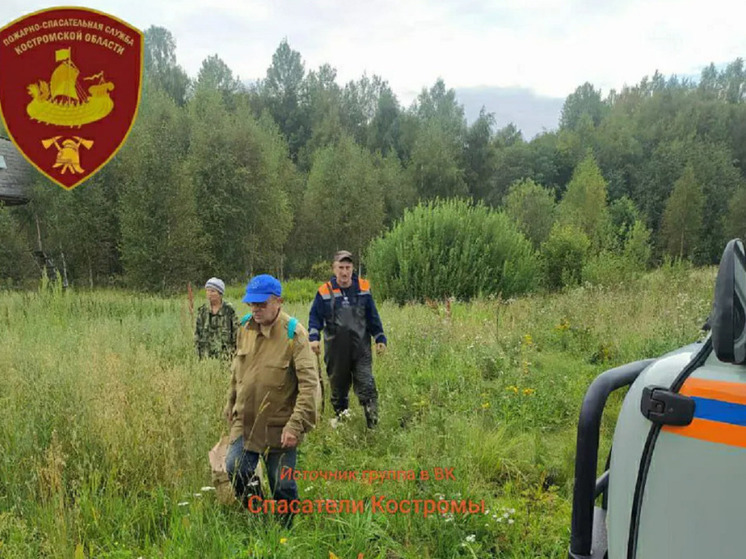 Костромские спасатели вывели из леса заплутавшую в нем чету грибников