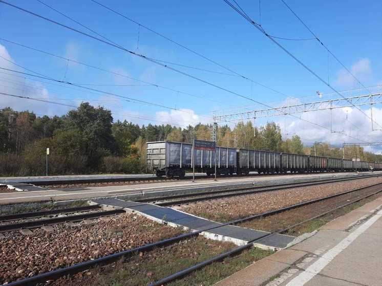 В поселке Назия поезд сбил насмерть 12-летнего велосипедиста