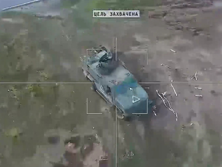 Люди переживают об оставленных животных