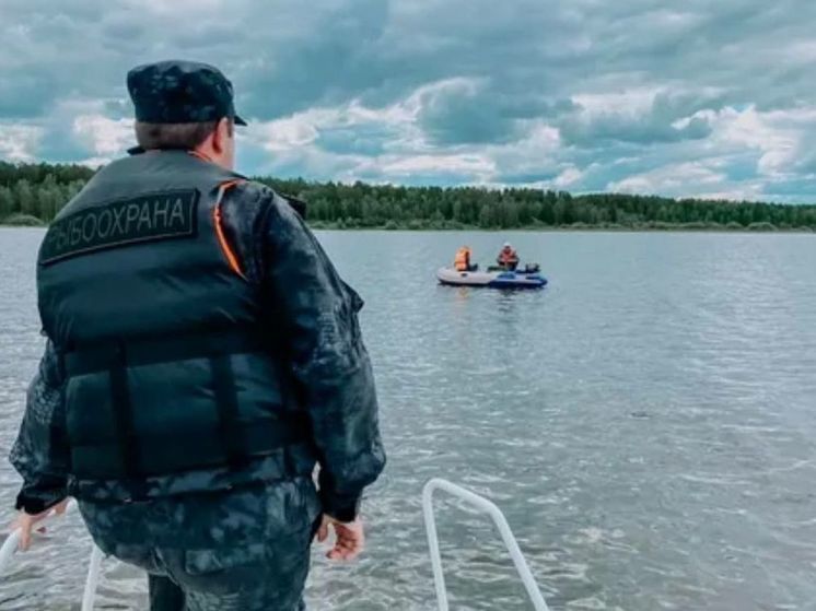 Сахалинские инспекторы рыбоохраны изъяли у браконьеров 107 кг биоресурсов за неделю