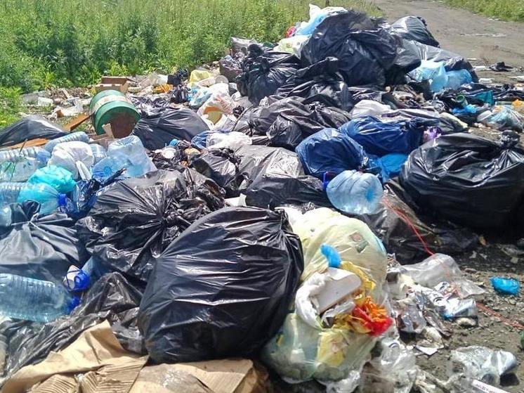  В Корсаковском районе ликвидировали свалку после жалоб жителей
