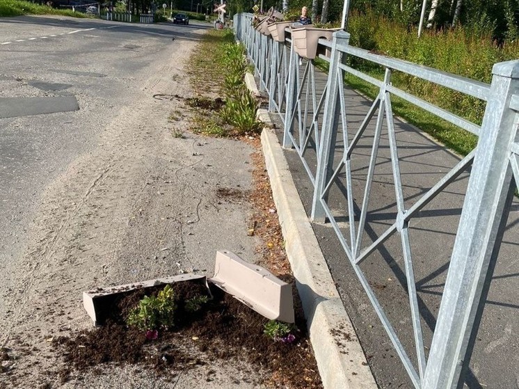 Жителей Суоярви просят не вымещать ненависть на клумбах