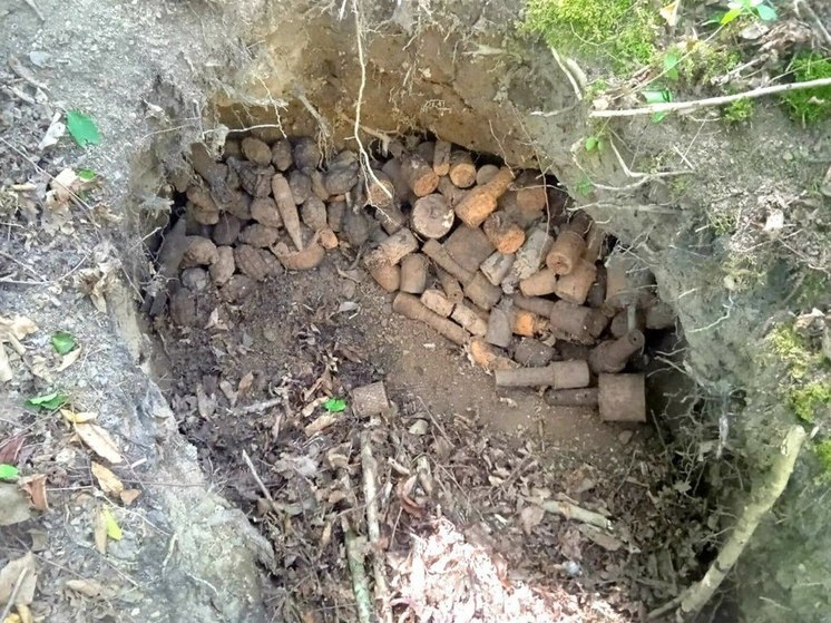 В Туапсинском районе нашли 130 боеприпасов времен ВОВ