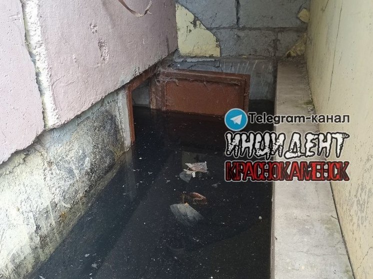 Воду из подвала многоквартирного дома годами не могут убрать в Краснокаменске