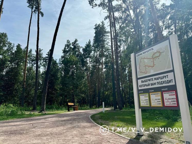 В Белгороде сделали дорожки для бега в Сосновке