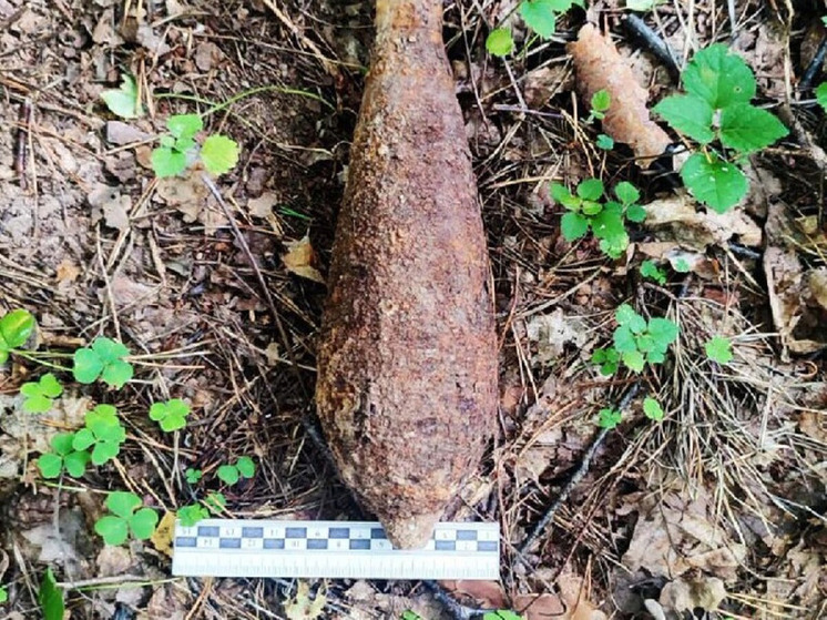 В Подмосковье грибники нашли боеприпас времен войны