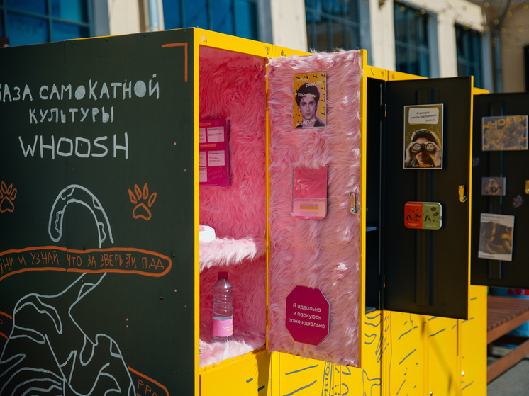 В Петербурге Whoosh учит правилам вождения самокатов через искусство