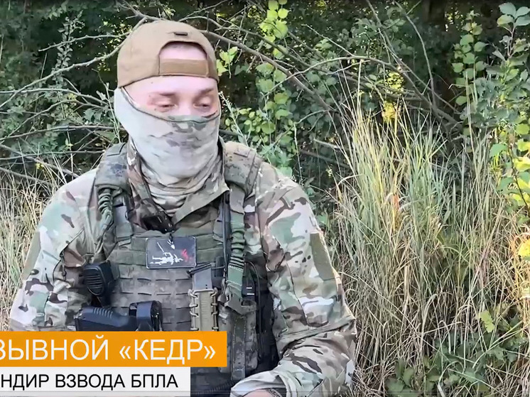 Морпехи уничтожили вражескую ДРГ на Днепре в Херсонской области