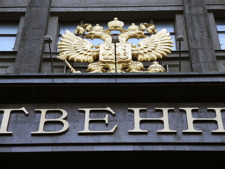 Госдума попросила признать нежелательными в РФ Deutsche Welle* и Британский совет