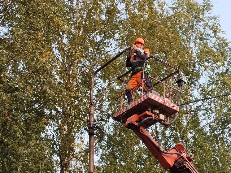В соломбальских дворах старые лампы меняют на светодиодные