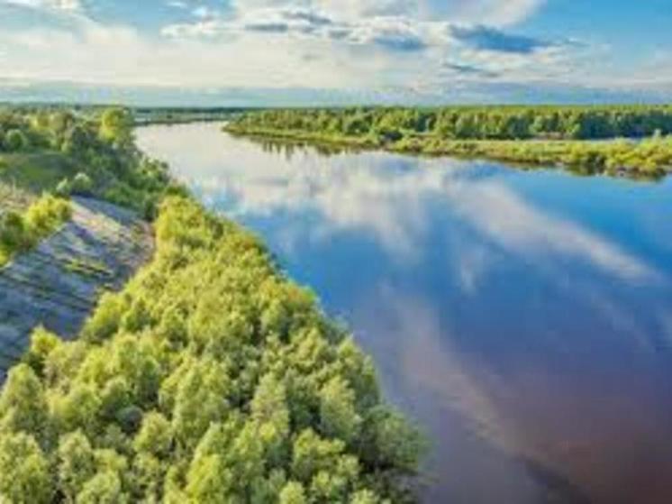 Нижегородская Ветлуга находится под угрозой тотального загрязнения