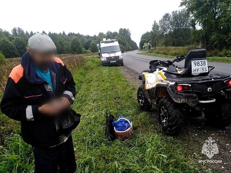 Спасатели вывели из леса заблудившегося грибника в Новгородском районе