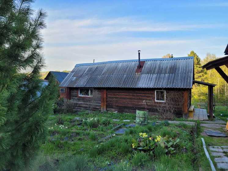 Слизни пожирают цветы и овощи на огородах новосибирцев