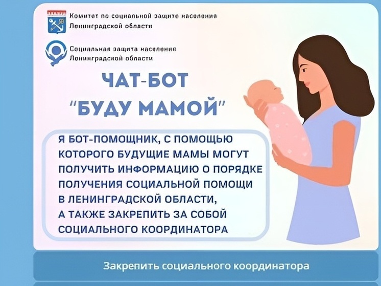 В Ленобласти появился чат-бот для помощи будущим мамам