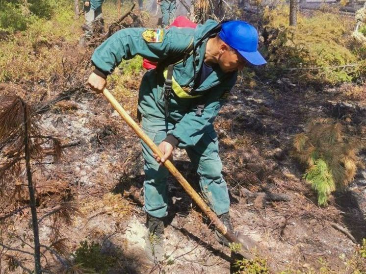 Команда Хакасии помогает спасти от пожаров детские лагеря в Тыве