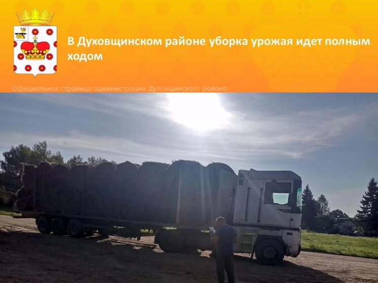 В Духовщинском районе уборка урожая идет полным ходом