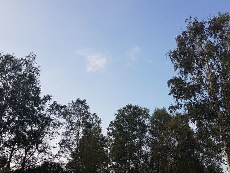 На следующей неделе зной в Подмосковье усилится